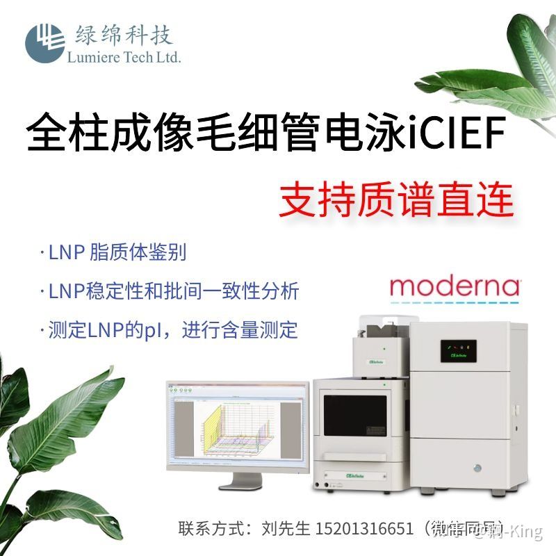 绿绵2.jpg