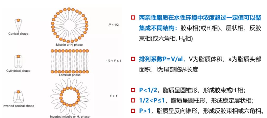 图9.jpg